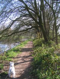 Klik op de foto voor groter formaat